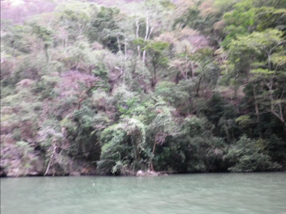 Sumidero Canyon near Tuxtla Gutierrez088